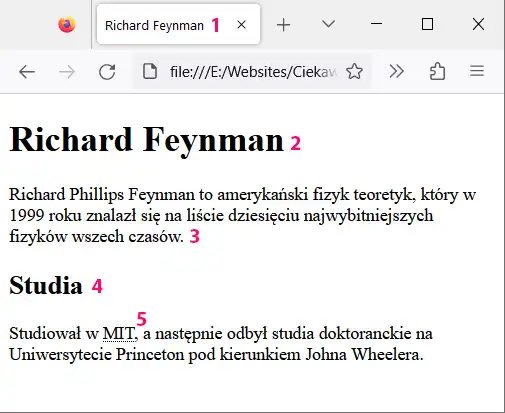 Pierwsza wersja strony o Feynmanie