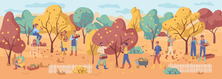 zbieranie owoców instrukcja php switch