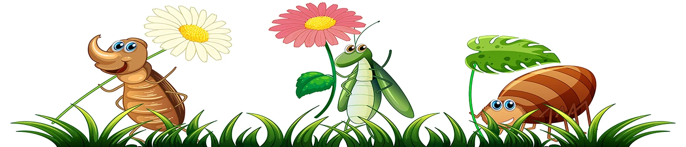 php select php option listy rozwijane w php