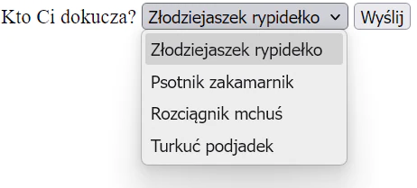 Przykładowa lista rozwijana HTML php option, php select - przykładowy formularz